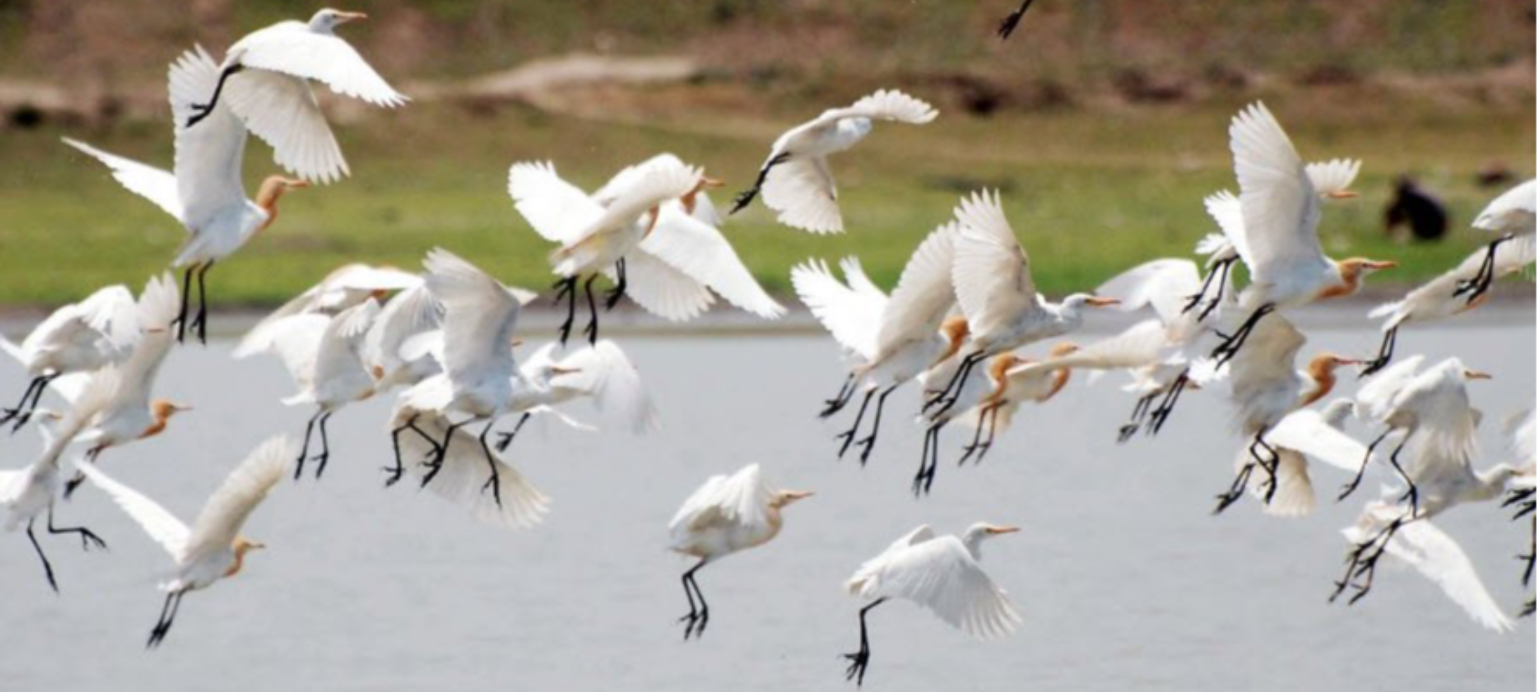 Faith, Nature & Timeless Stories